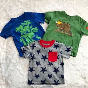 Bundle of 2T Boys Shirts | 3pc | Summer Mix